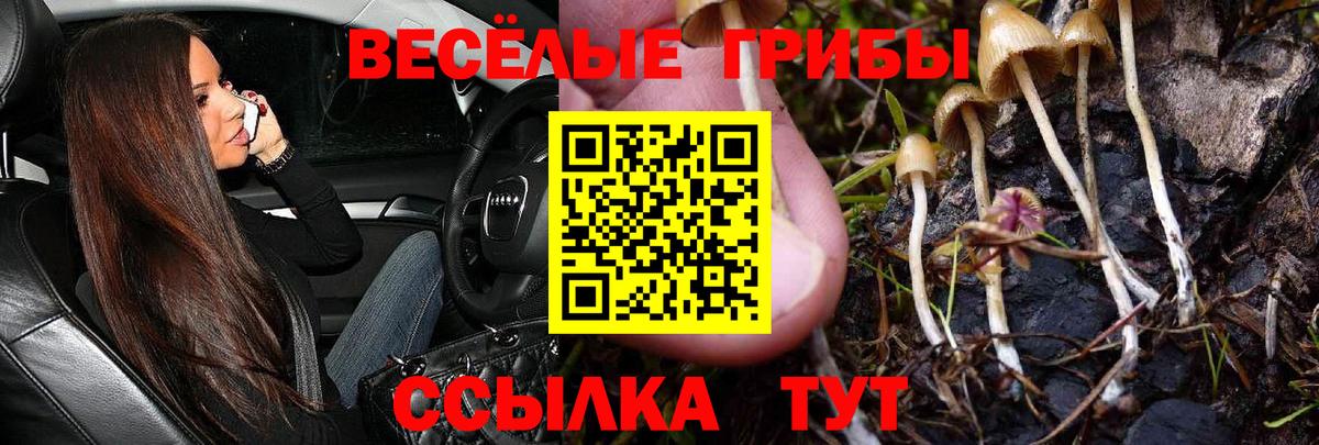 Галлюциногенные грибы MAGIC MUSHROOMS Кинель