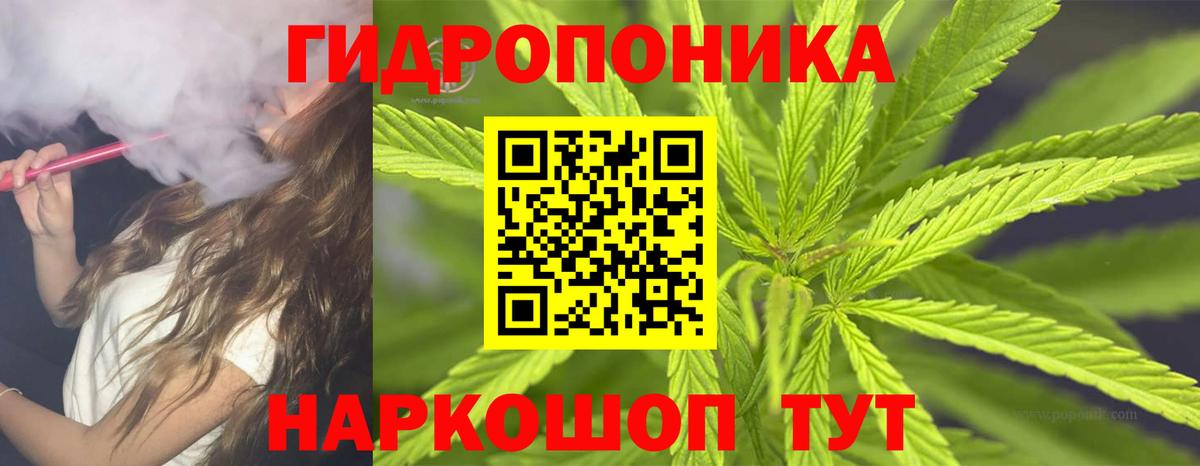 Бошки Шишки семена  Бошки марихуана марихуана  Кинель  Каннабис сатива  Вход с VPN 